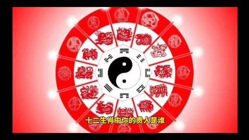 1999年属兔的人，2026年如何判断自己的贵人运势？