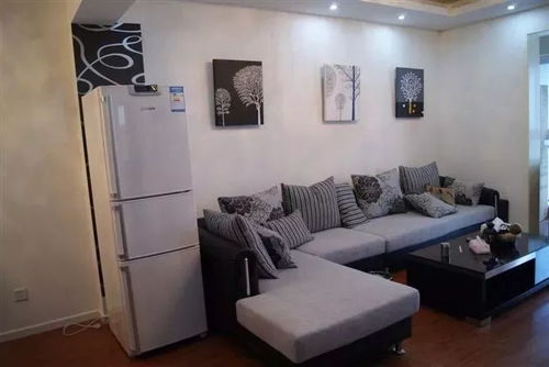 客厅摆放两台冰箱会对风水产生什么影响？