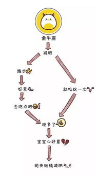 你出生在哪个星座的月份呢？告诉我你的阳历生日我来帮你对号入座！