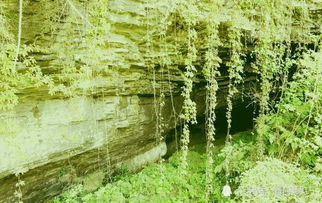 穴位的选择与天命的契合