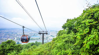 第四天：返程与回味