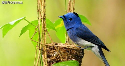 1.3 门窗冲射防护措施