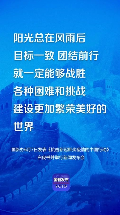 二、 文献回顾：抗疫诗词中的英雄形象建构