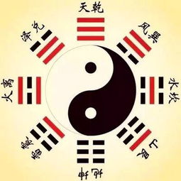 1. 卦数排列的数理差异