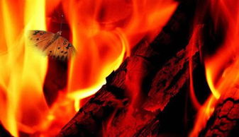 五行理论的解释框架：火木属性配置的情感导向作用