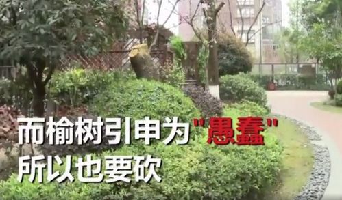 企业与商业建筑