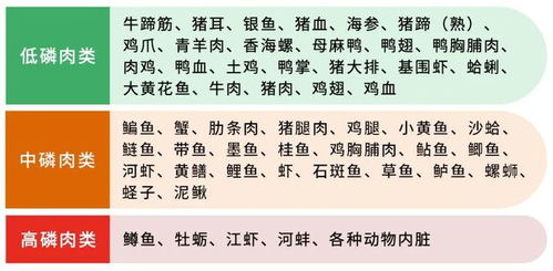2.2 生理素质与健康管理建议方案设计