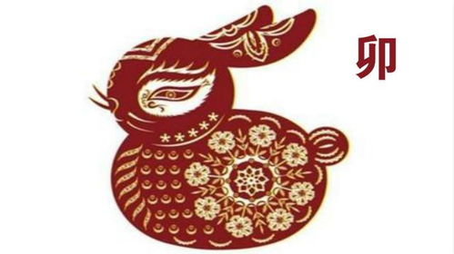 3.2 卯兔：灵动聪慧， 巧避风险