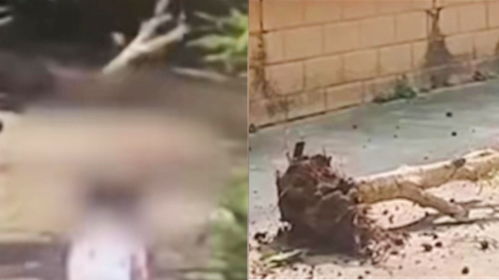 男人梦见别人从高处坠落摔死，这预示着什么？