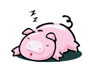 第一个城市：广州！绝了！