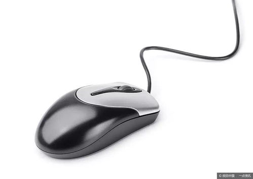 属鼠的人今年财运方位如何，下半年财运状况怎样？