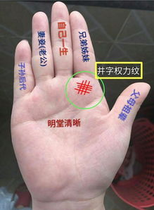 1. 手相中的纹路解读原则