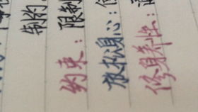 一些花里胡哨的技巧（加点个人特色！）