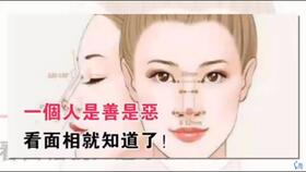 眼珠黑白分明：聪慧头脑与未雨绸缪的远见