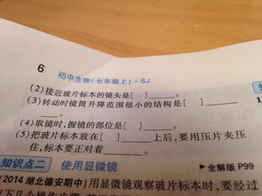 太上灵签第二十三签中，签灵音观二十三的解签内容是什么？