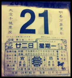 黄历宜解除和诸事不宜分别指什么吉凶情况？