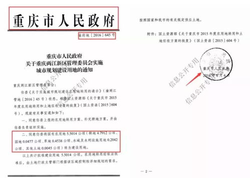 和合术效果呈现的时序性：四个阶段的动态演变