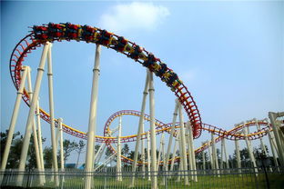 8. 泉城欧乐堡：玩到嗨嗨到爆