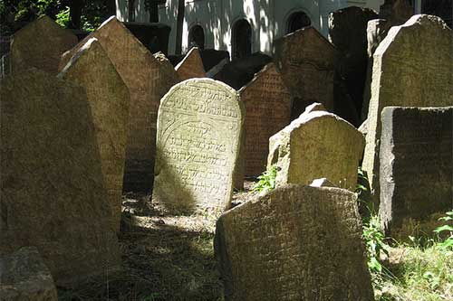 六、 当代解梦迷惑行为实录