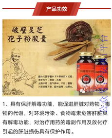 神州取名或起名有哪些创意建议？