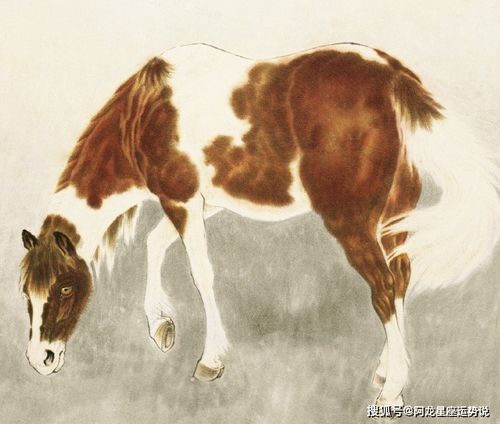 1.1 属马之虎虎生威：动态美学与阳刚气质