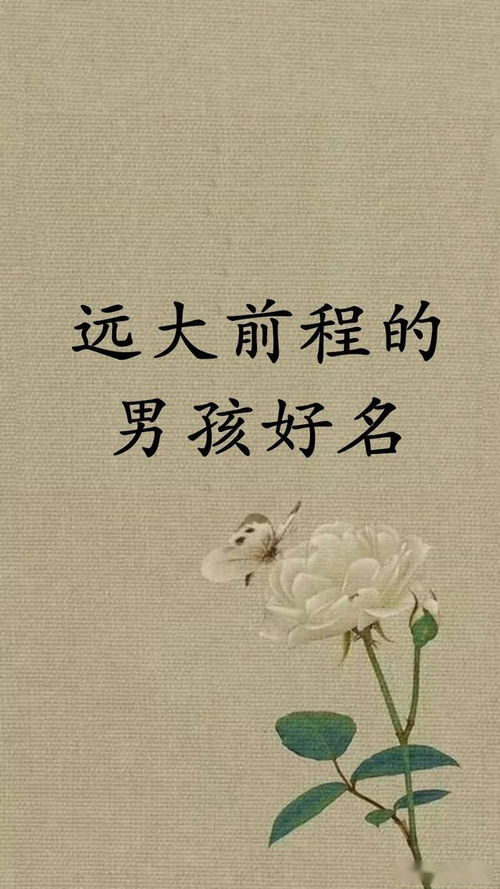 寓意美良好的带泽字男孩名字，有没有哪些良好提议？