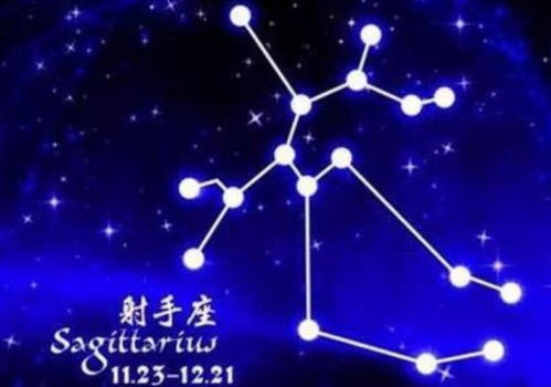 二、关系类型兼容性评估