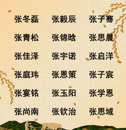 张姓二字好听稀少独特姓名的五行组合分析