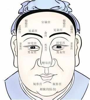二、 鼻梁横纹：夫星之映射