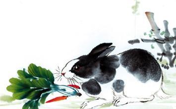 63年属兔女性最近感情运势如何，今日运势怎样？