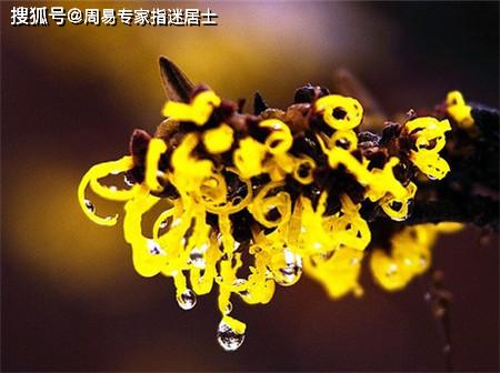 如何将八字与艺术相结合，创造出独特的八字艺术？