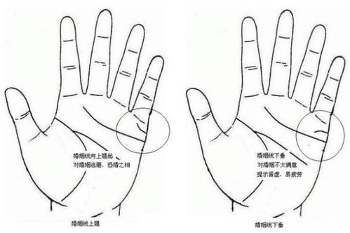 有哪些罕见手相图片及其解读方法？