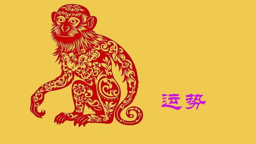 属猴的看这里！2025年要结婚啦！