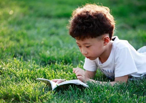 惯与“大气”和“高雅”的理解