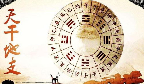 八字地支子辰的含义是什么？