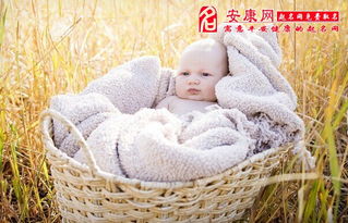 给蛇宝宝起名，带什么字的蛇宝蕞好呢？