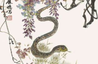 职场风云：蛇蛇崛起记