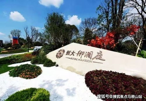 政策变脸记：从较宽松到严苛的瞬间