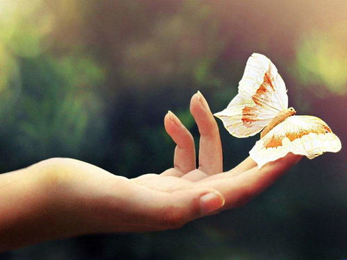 一、  伤官在命理学中的基本内涵与智力表征