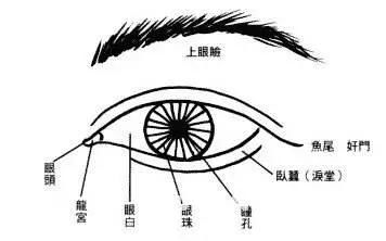 较大较小眼的命运解析