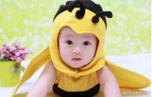 2026年属鼠的徐姓男宝宝，有没有好听的金鼠名字推荐？