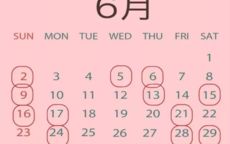 1. 双春兼闰月及盲年规避