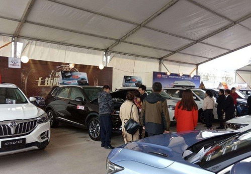 一、 吉利生肖的运势共振与提车适宜性