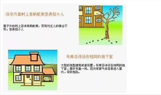 三、  家庭精神场域的双重变奏：父亲的格局与母亲的性情