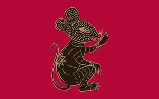 属蛇姥姥和属虎外孙子八字合吗？这对关系是否吉利？