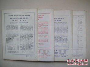 四、 综合评议与今后展望