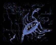 属牛天蝎女2026年运势和明天运势分别如何？