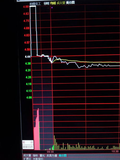 1. 性格特点