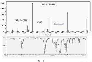 手足关系的情感光谱与家族兴衰周期