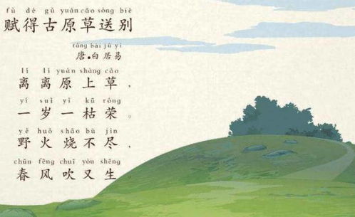 属鼠者：智慧机敏与机遇捕捉的辩证关系